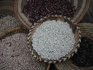 canada-sep2011-beansのサムネール画像