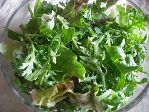 canada-2012july-salad.jpgのサムネール画像