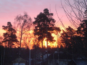 sweden-vol7-sunrise.JPG